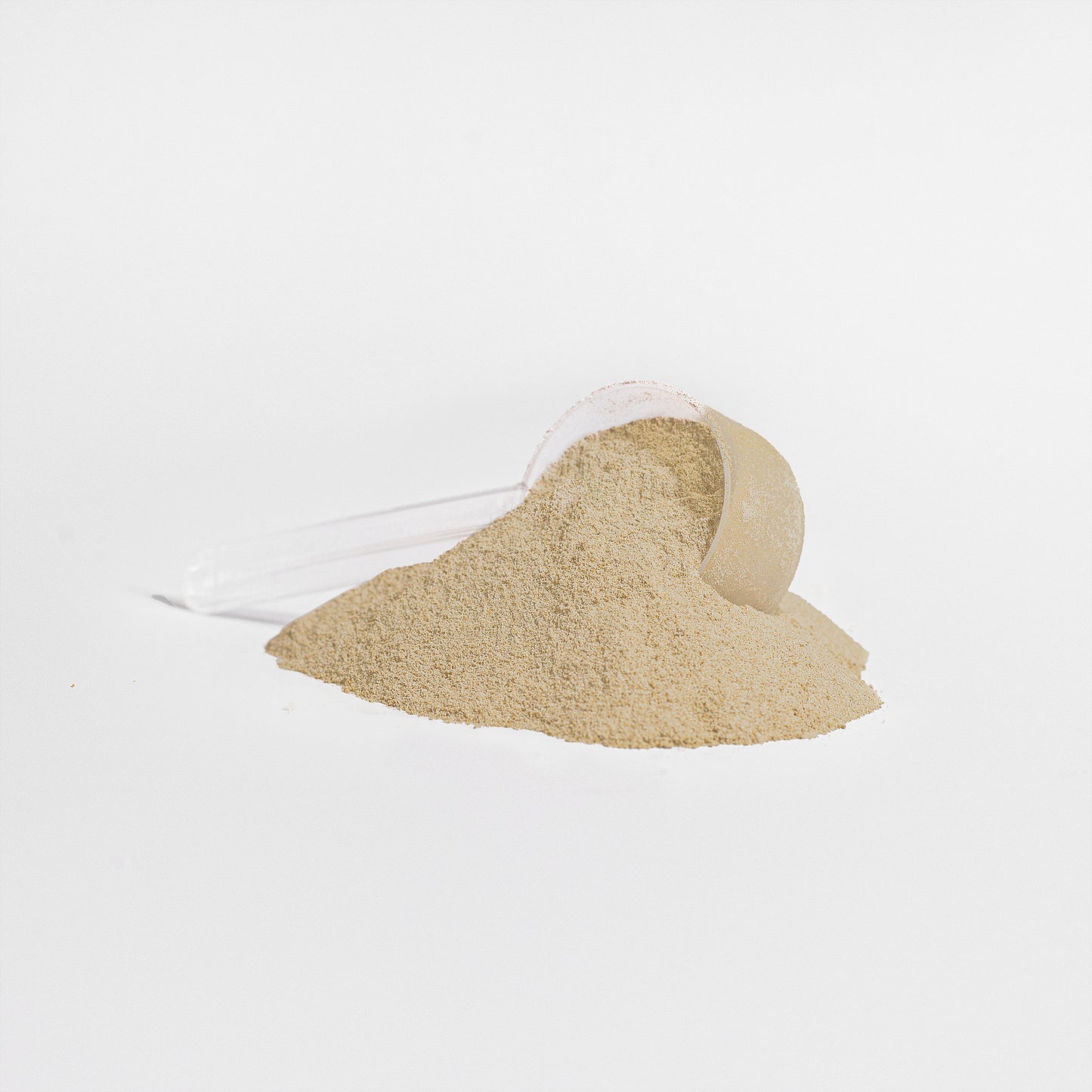 Clean Bean Plant Protein - Vanilla