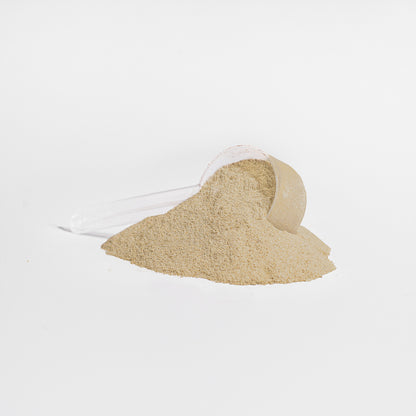 Clean Bean Plant Protein - Vanilla