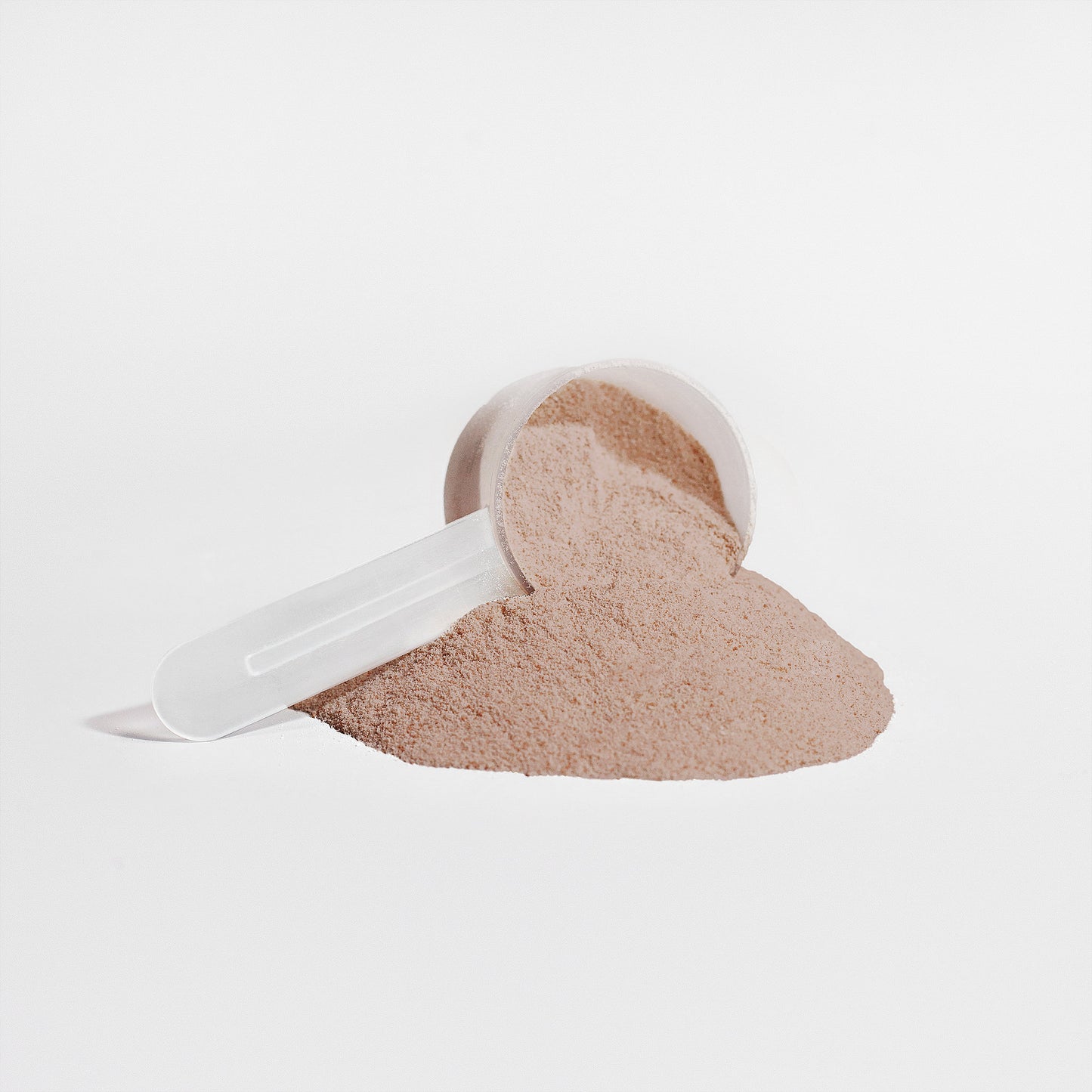 Clean Bean Plant Protein - Chocolate